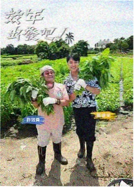 今日推荐航段慢综艺配图
